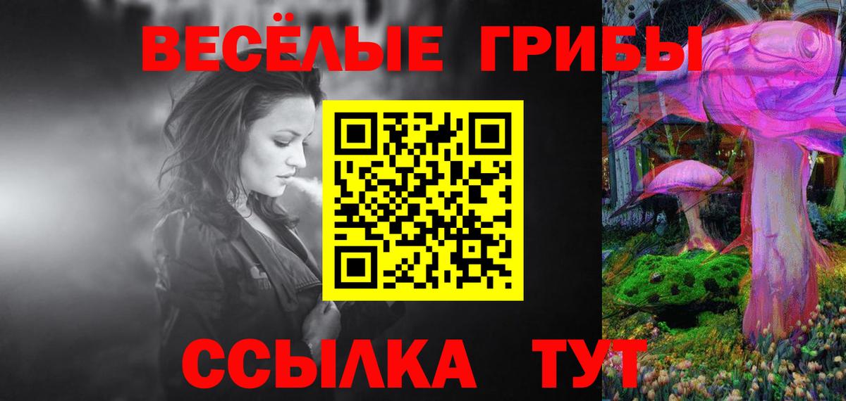 Галлюциногенные грибы Psilocybine cubensis Кувандык