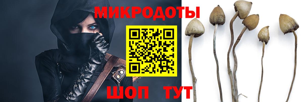 наркота  Галлюциногенные грибы Psilocybe  Вход с VPN  Кувандык  Псилоцибиновые грибы GOLDEN TEACHER 